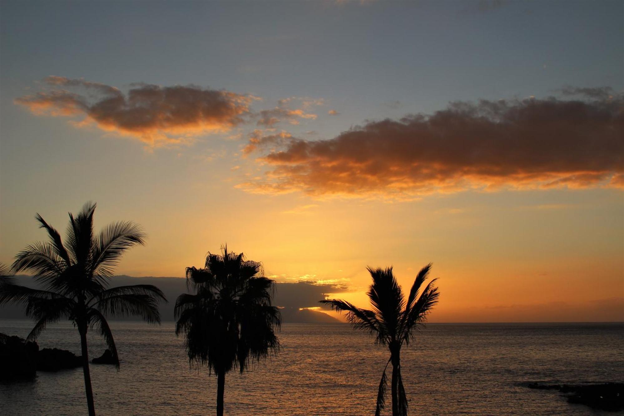 Beautiful Sunset Apartment Puerto de Santiago  Eksteriør billede