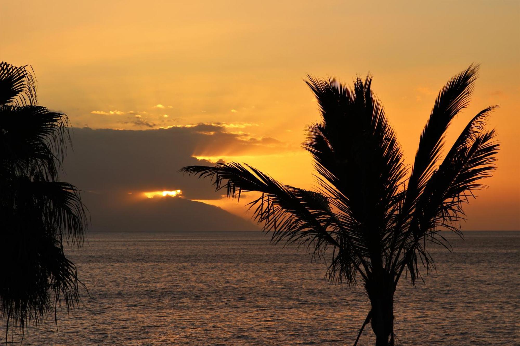 Beautiful Sunset Apartment Puerto de Santiago  Eksteriør billede